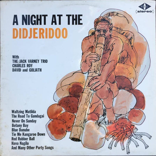 Various : A Night At The Didjeridoo (LP, Album)