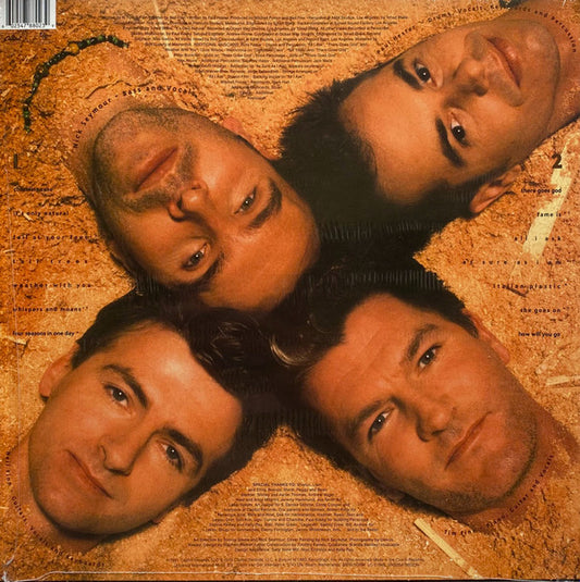 Crowded House : Woodface (LP, Album, RE, 180)