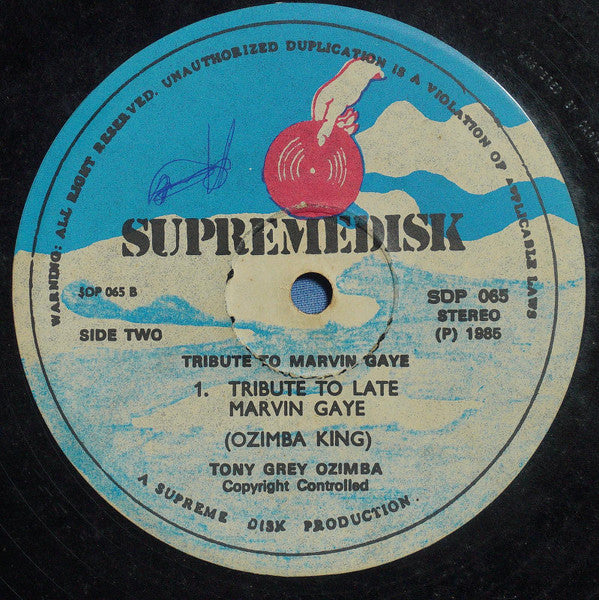 Tony Grey (2) : Tribute To Marvin Gaye (LP, Album)