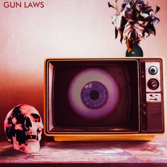 Gun Laws - Gun Laws